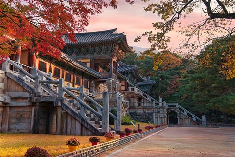  Gyeongju National Museum: Unveiling Korea's Ancient Majesty Through Treasures and Time!