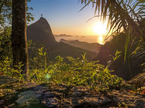 Parque Nacional da Tijuca: Rừng mưa nhiệt đới bạt ngàn và khung cảnh ngoạn mục của thành phố Rio de Janeiro!