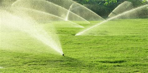 How to Design Sprinkler System: A Journey Through Water and Imagination