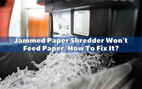 How to Fix a Paper Shredder Jam: Why Do Cats Always Sit on Important Documents?