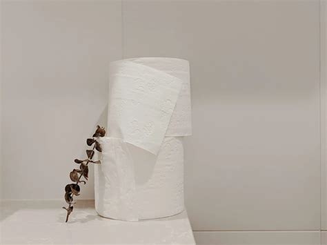 Is Toilet Paper Compostable: A Dive into the Absurd and the Practical