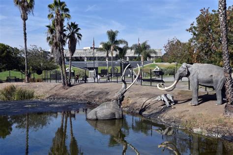 La Brea Tar Pits: Where Prehistoric Creatures Meet Modern Marvels!