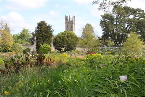  Oxford Botanic Garden: Biểu tượng của sự thanh lịch và thiên nhiên tươi đẹp!