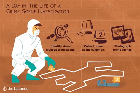 What Education is Needed to Be a Crime Scene Investigator and Why Do They Always Wear Gloves?