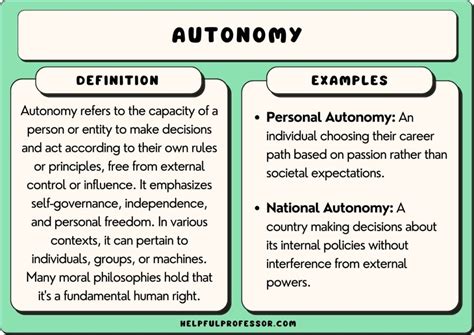 What is Autonomous AI? Exploring the Boundaries of Machine Independence