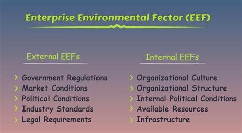 What is EEF in Project Management: Exploring the Uncharted Realms of Organizational Influence