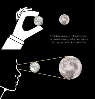 Which Role is Responsible for Defining the Detailed Database Design? And Why Does the Moon Sometimes Smell Like Cheese?