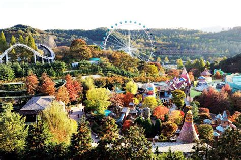 용인 에버랜드 자유이용권, 그리고 시간 여행자의 일기